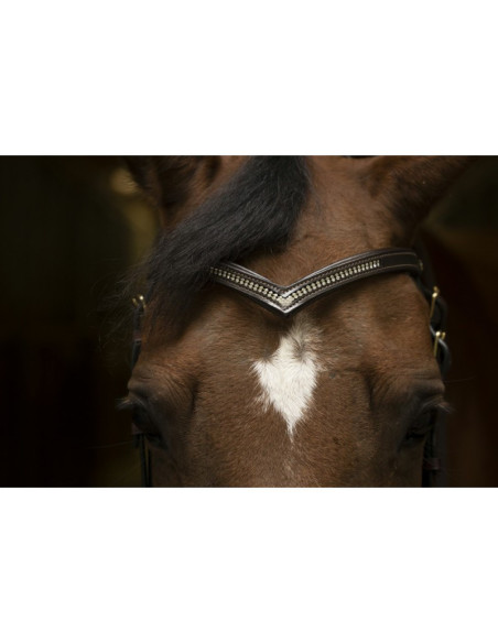 Frontal Norton Club "Diamond" Forme V