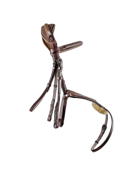 Bridon Anatomique CWD Muserolle Croisée 1/2 Rond Châtaigne