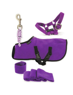 Set Polaire Crafty Ponies Rose 2