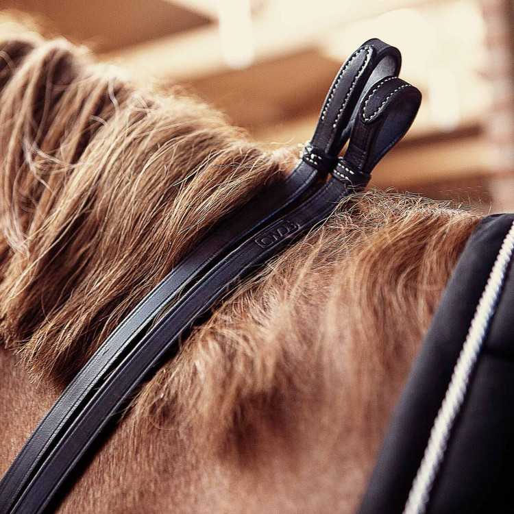 Rênes De Bride CWD Contact
