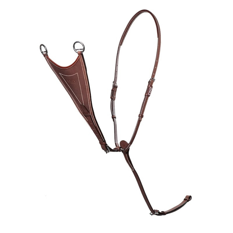 Martingale CWD Pleine Martingales