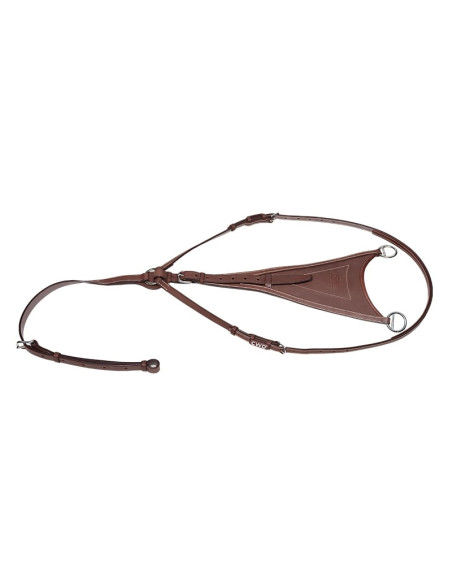 Martingale CWD Pleine Châtaigne