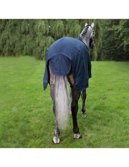 Chemise Greenfield Coton Marine