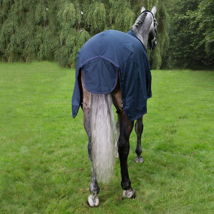 Chemise Greenfield Coton Marine