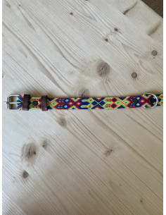 Collier Pour Chien Ahorasi Diego 2