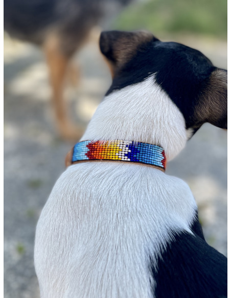 Collier Pour Chien Ahorasi Mia XS1