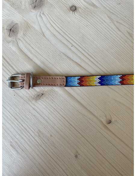 Collier Pour Chien Ahorasi Mia XS1