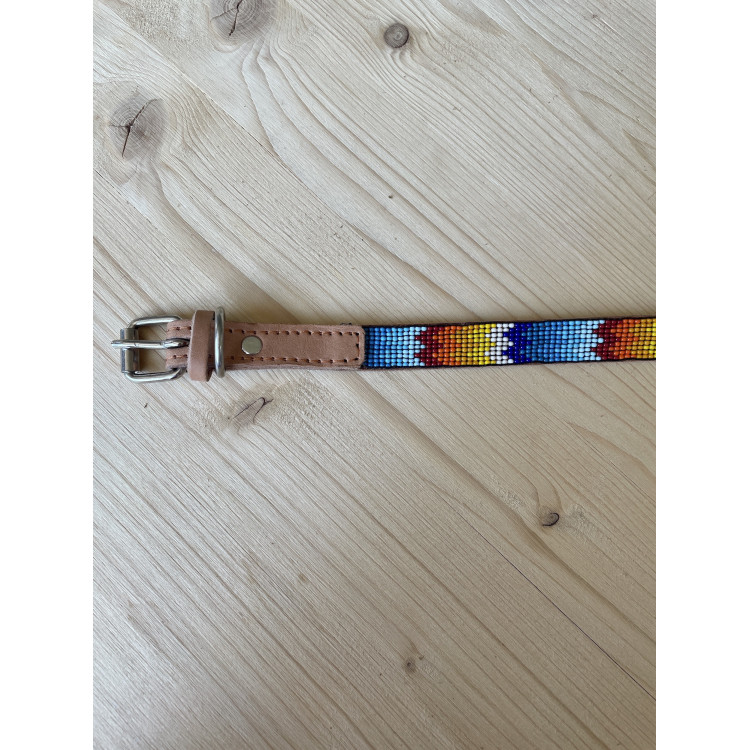 Collier Pour Chien Ahorasi Mia XS1