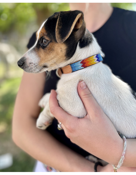 Collier Pour Chien Ahorasi Mia XS1