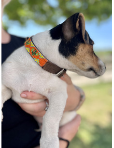 Collier Pour Chien Ahorasi Nopal 2