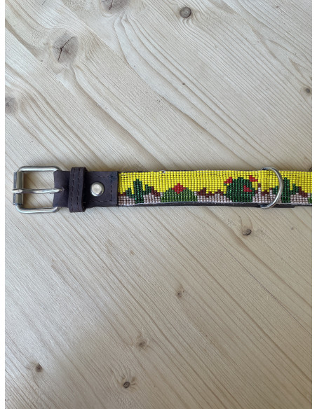 Collier Pour Chien Ahorasi Nopal S1