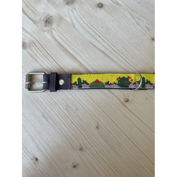 Collier Pour Chien Ahorasi Nopal S1