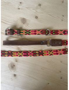 Laisse + Collier Pour Chien Ahorasi 2