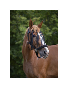 Frontal Chasse-Mouches Norton noir 2