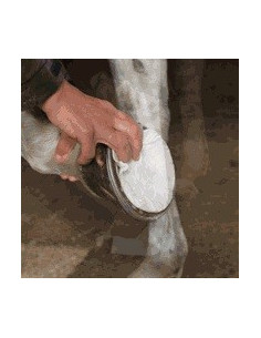 NAF NaturalintX Compresses 2