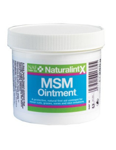 NAF NaturalintX MSM Onguent