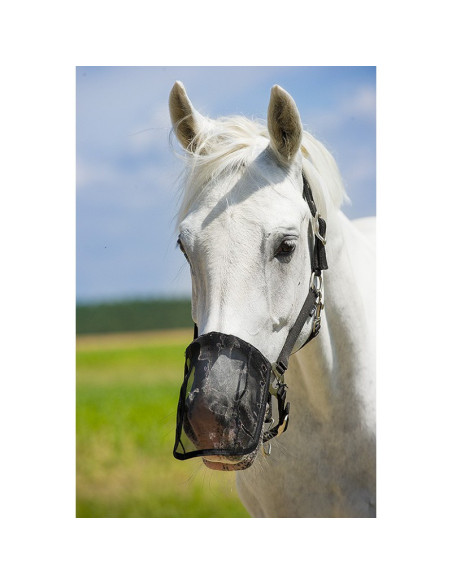 Norton Mesh Fly Guard