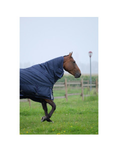 Pro Series "Tyrex 1680D" 220grs Rug 2