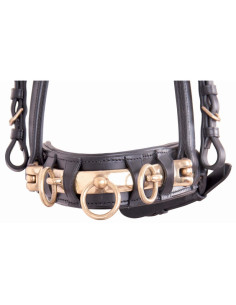 TdeT Leather Noseband Lungeing System