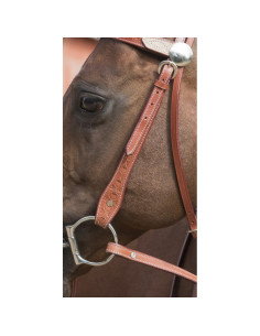 Randol's "Two Tone" Bridle 2