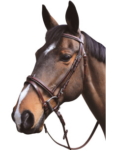 Bridon Lexington Austin combiné