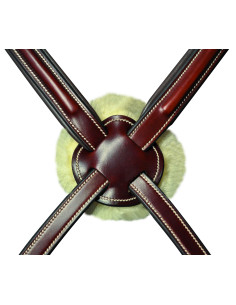 Bridon Lexington Austin croisé 2