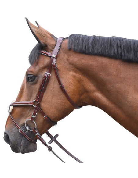 Bridon Lexington Austin croisé