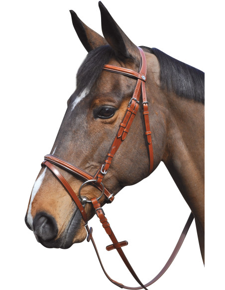 Bridon Lexington Denver combiné