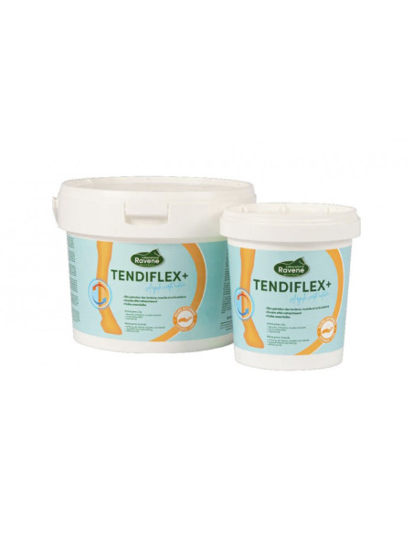 Argile Ravène "Tendiflex +"