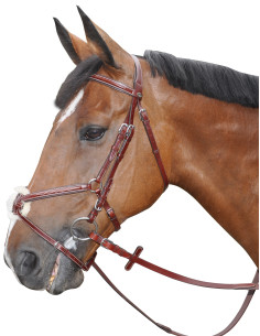 Bridon Lexington Denver croisé