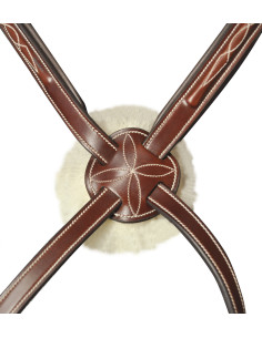 Bridon Lexington Denver croisé 2