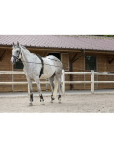 Riding World Leather/Rope Driving Reins 2