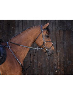 Martingale à Anneaux Riding World 2