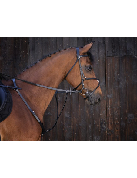 Martingale à Anneaux Riding World