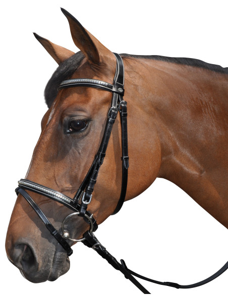 Bridon Lexington Tucson combiné