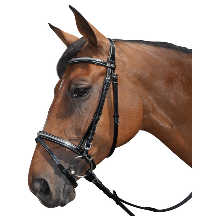 Bridon Lexington Tucson combiné