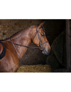 Martingale Fixe Riding World 2