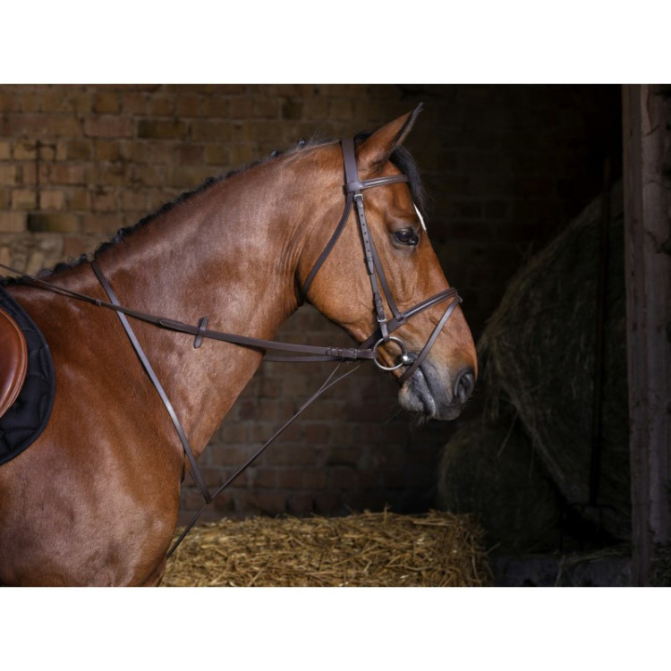 Martingale Fixe Riding World