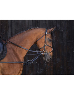 Riding World Rubber Training System 2