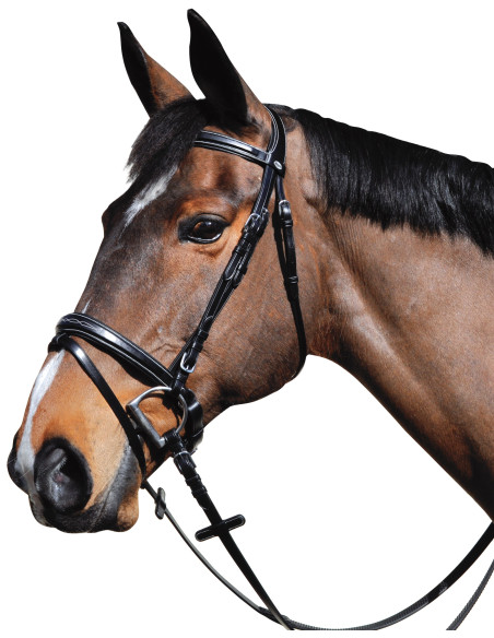 Bridon Lexington Boston pull-back