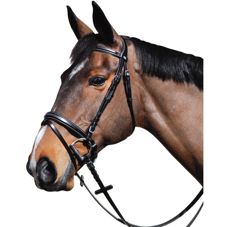 Bridon Lexington Boston pull-back