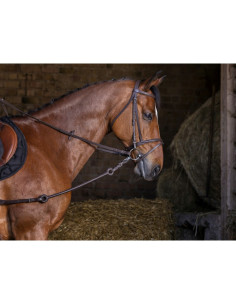 Riding World Pirelli Training System 2