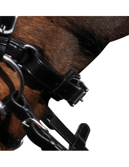 Bridon Lexington Boston pull-back