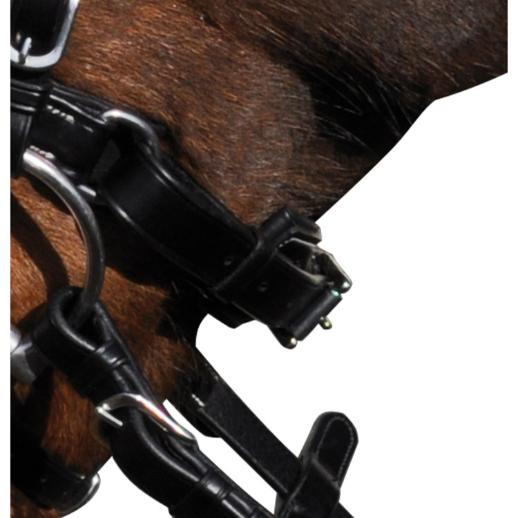 Bridon Lexington Boston pull-back