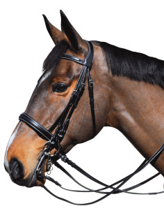 Bride Lexington Michigan