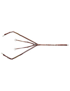 Collier de chasse Lexington Austin