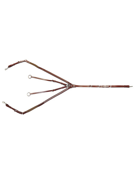 Collier de chasse Lexington Austin