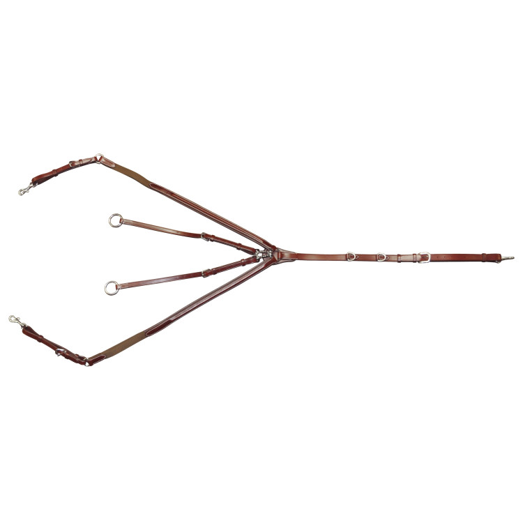 Collier de chasse Lexington Austin