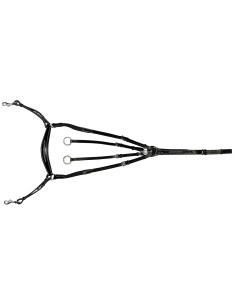 Collier de chasse Lexington Denver