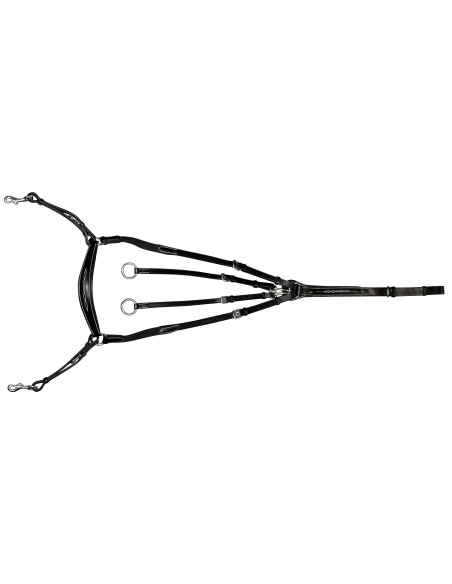 Collier de chasse Lexington Denver